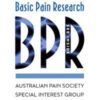 Basic Pain Research special interest group